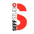 cropped logo seffstudio wb.png